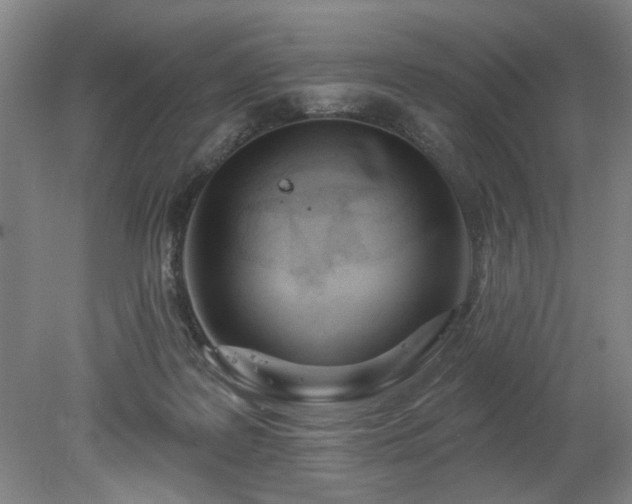 X0000078230219200611101018