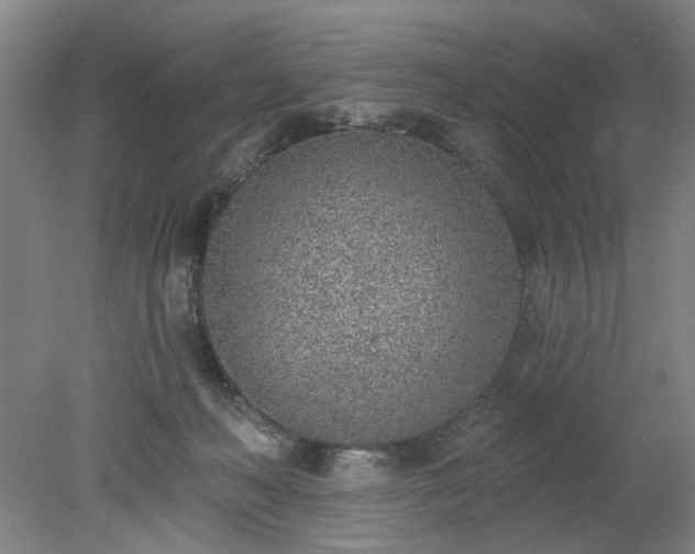 X0000078230222200611101018