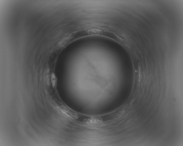 X0000078230223200611101018