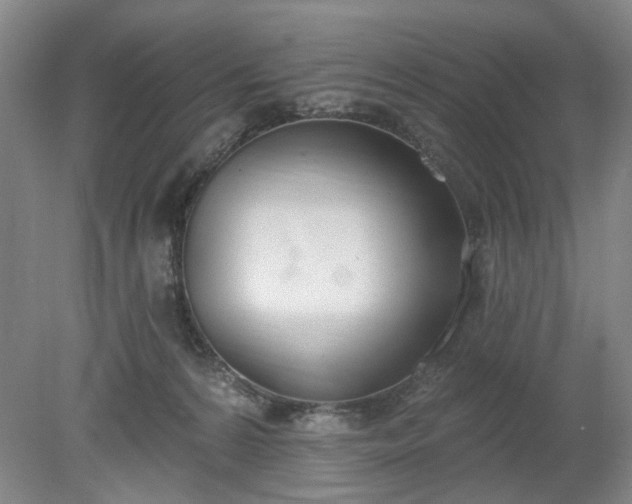 X0000078230224200611101018