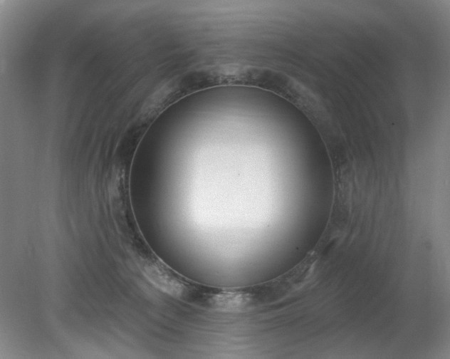 X0000078230225200611101018