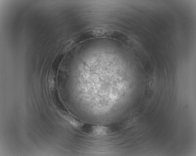 X0000078230226200611101018