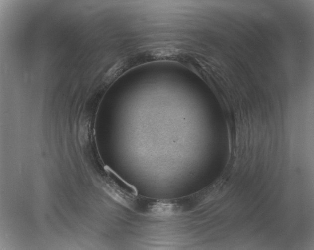 X0000078230227200611101018