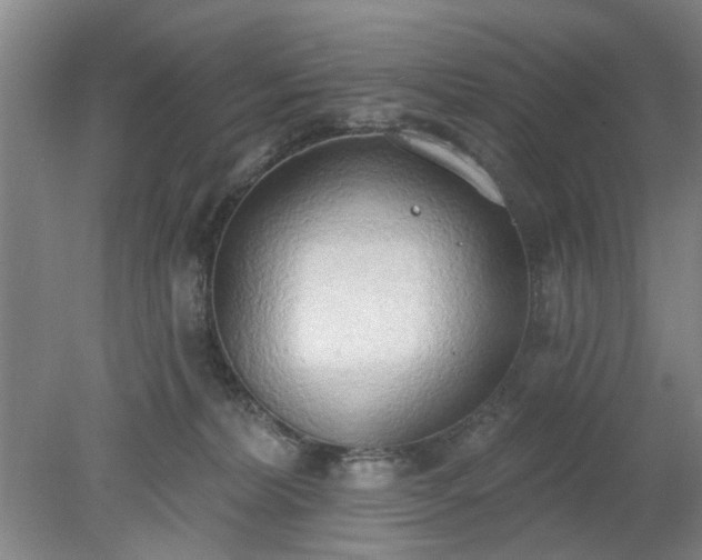 X0000078230228200611101018