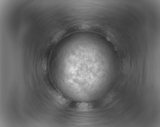 X0000078230230200611101018