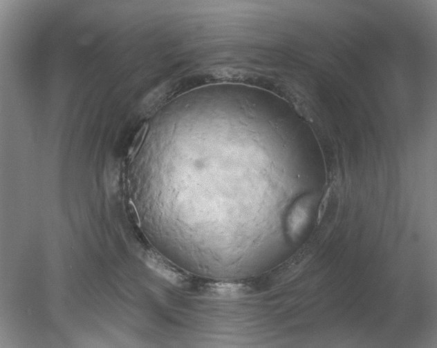 X0000078230233200611101018