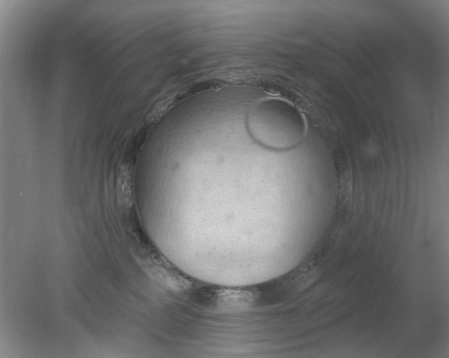 X0000078230234200611101017