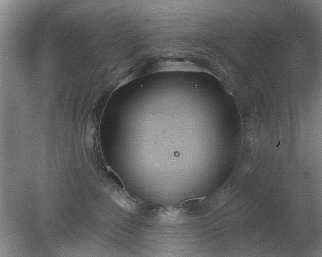 X0000078230235200611101017