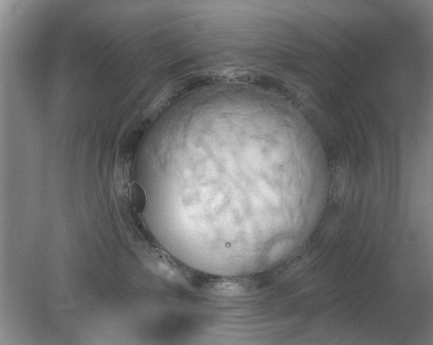 X0000078230236200611101017