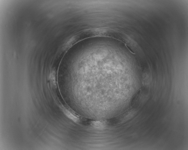 X0000078230238200611101017