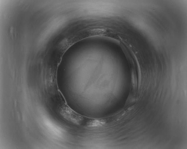 X0000078230239200611101017