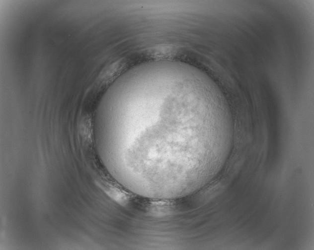 X0000078230240200611101017