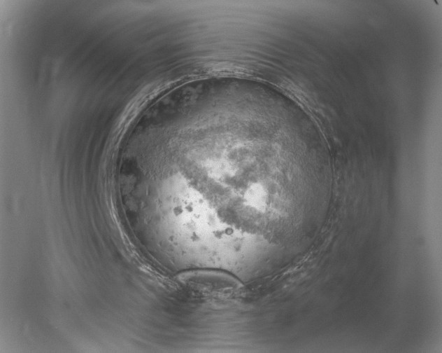 X0000078230241200611101017