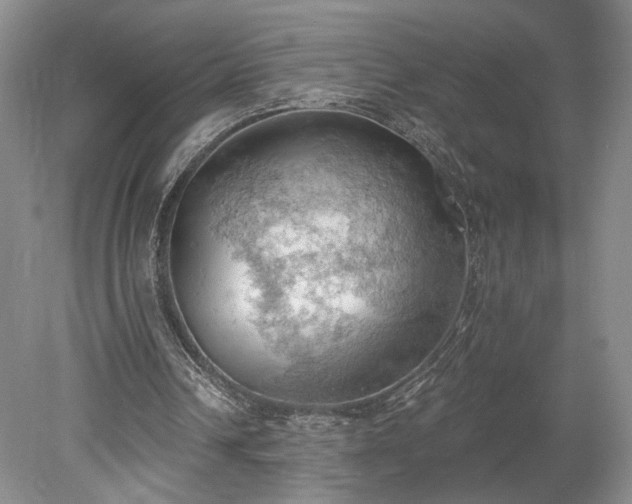 X0000078230242200611101017