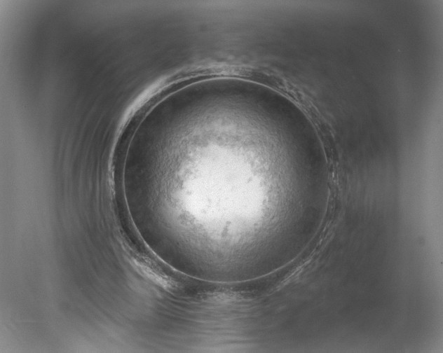 X0000078230246200611101017