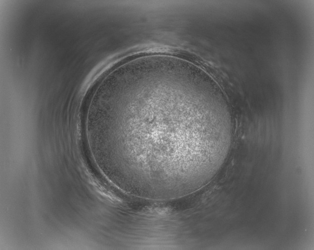 X0000078230247200611101017