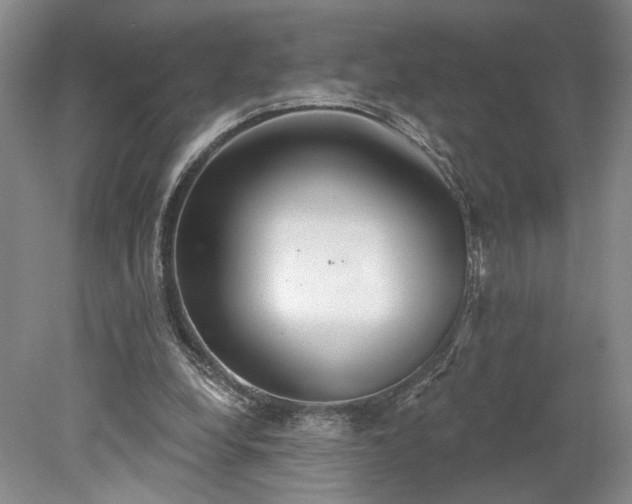 X0000078230248200611101017