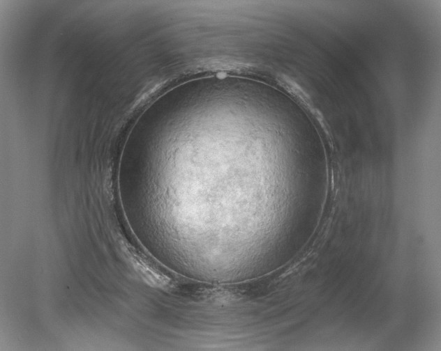 X0000078230249200611101017