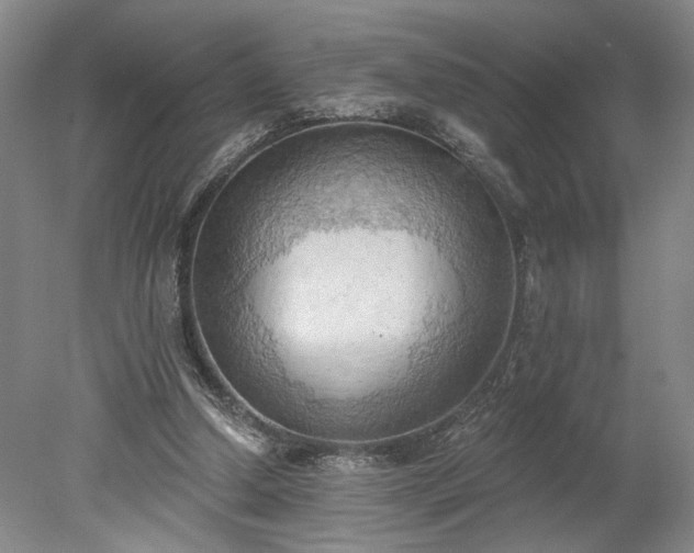 X0000078230250200611101017