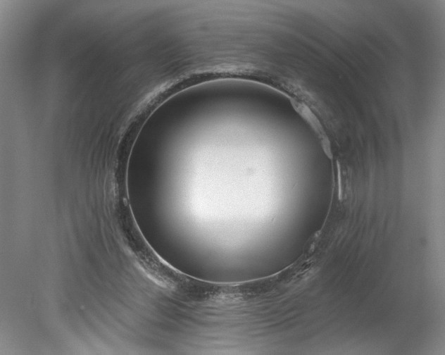 X0000078230252200611101017