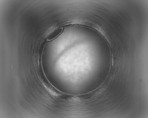 X0000078230253200611101017