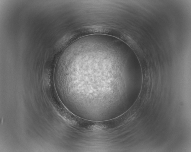 X0000078230255200611101017