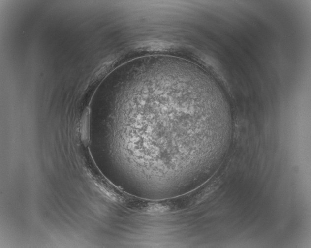 X0000078230257200611101017