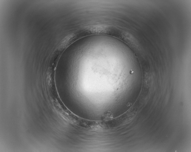 X0000078230259200611101017