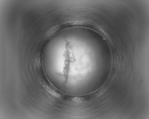 X0000078230261200611101017