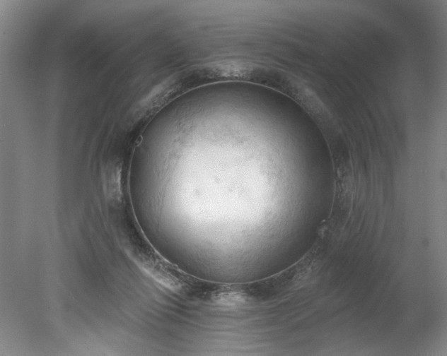 X0000078230262200611101017