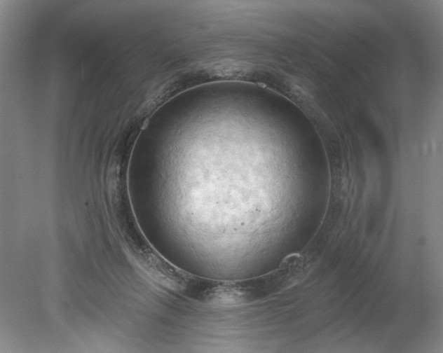 X0000078230263200611101017