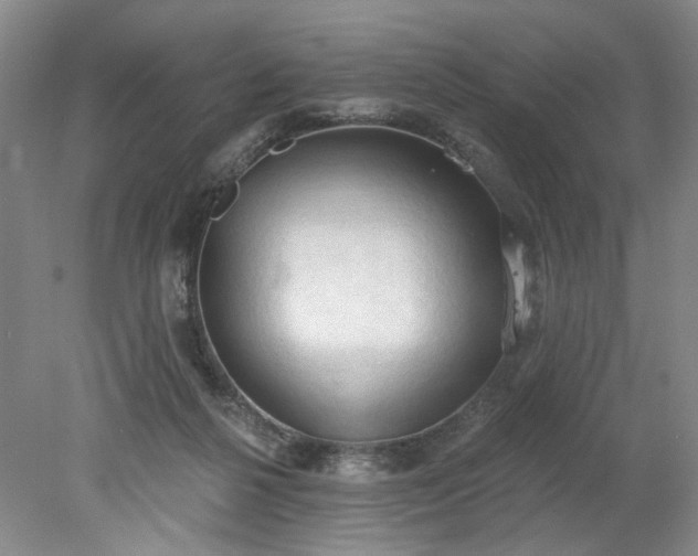 X0000078230264200611101017