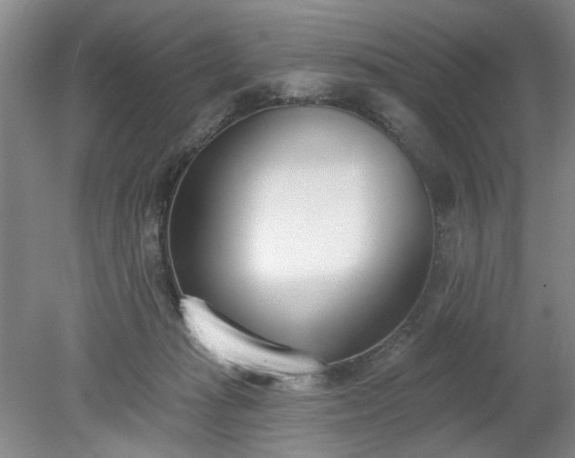 X0000078230269200611101017