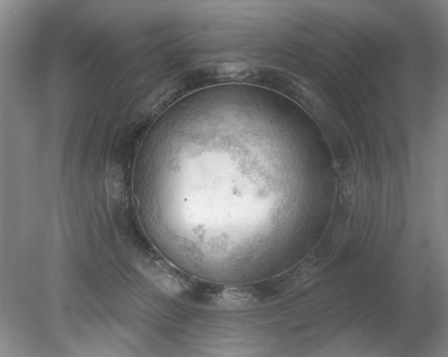 X0000078230270200611101017