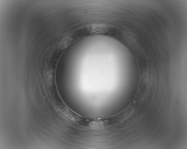 X0000078230271200611101017