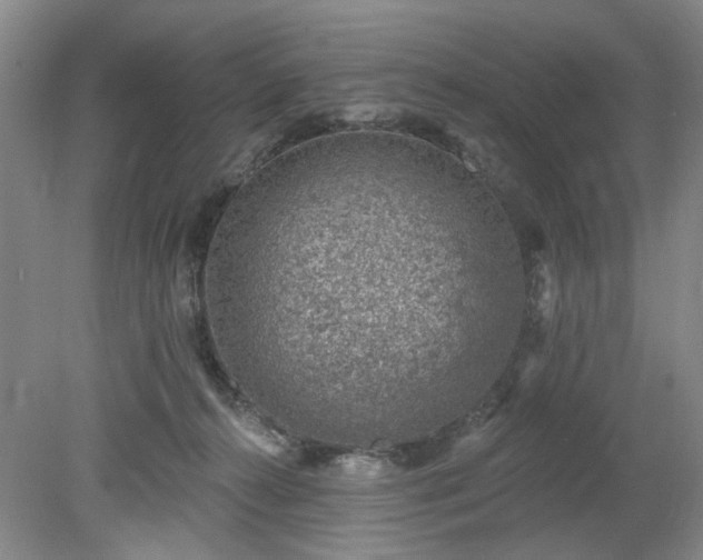 X0000078230272200611101017