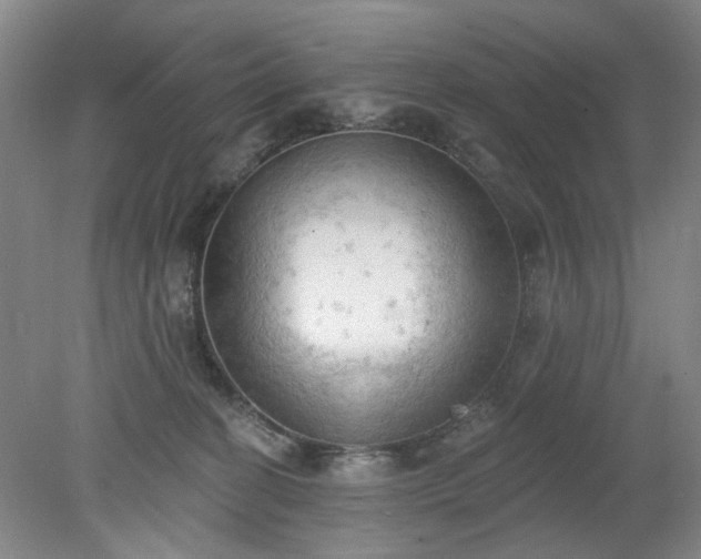 X0000078230274200611101017