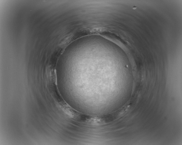 X0000078230276200611101017