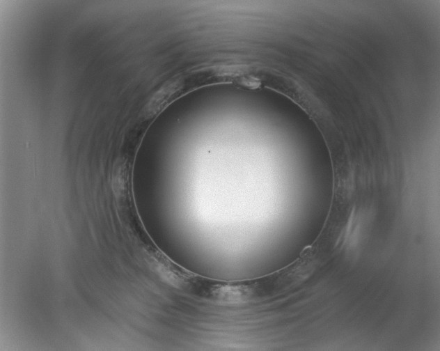 X0000078230277200611101017