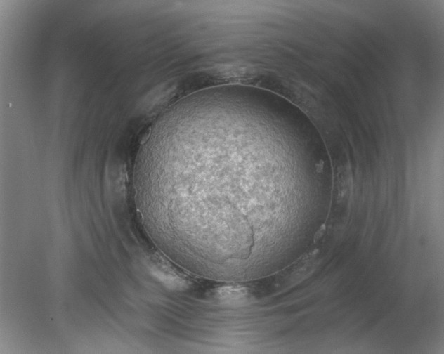 X0000078230279200611101017