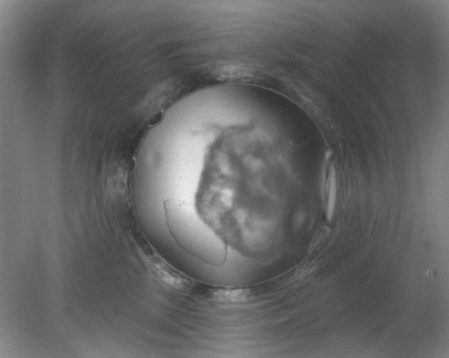 X0000078230281200611101017