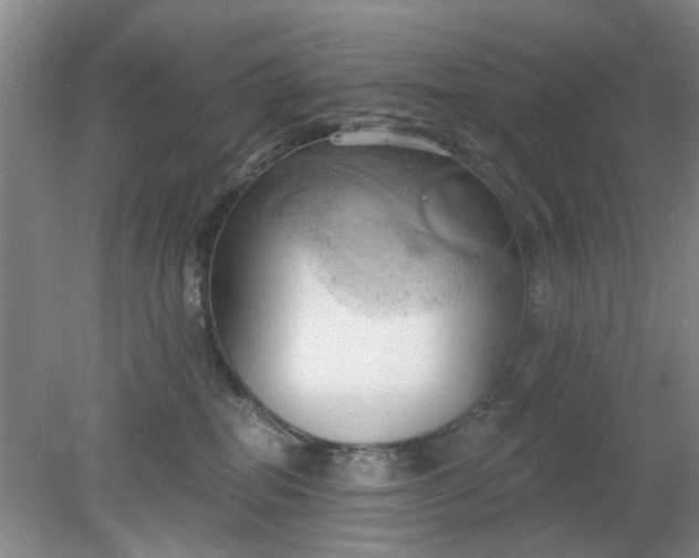 X0000078230282200611101017