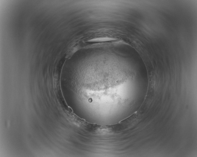 X0000078230283200611101017