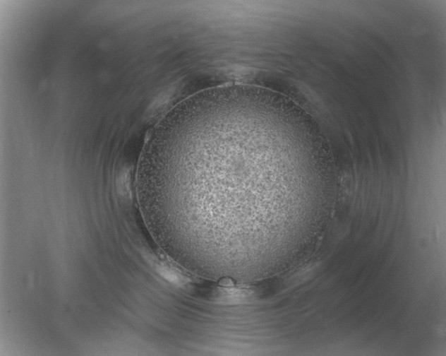 X0000078230286200611101017