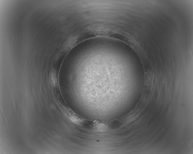 X0000078230287200611101017