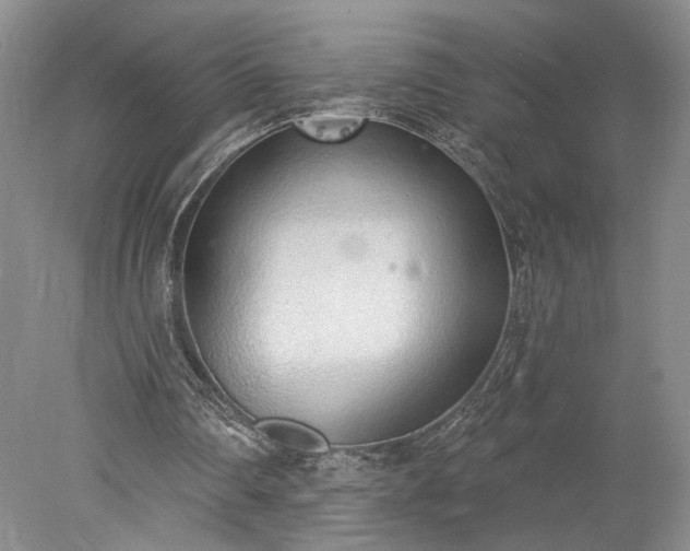 X0000078230290200611101017