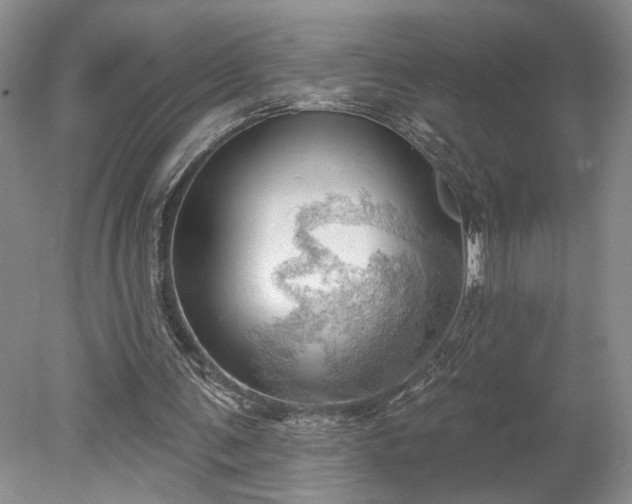 X0000078230291200611101017