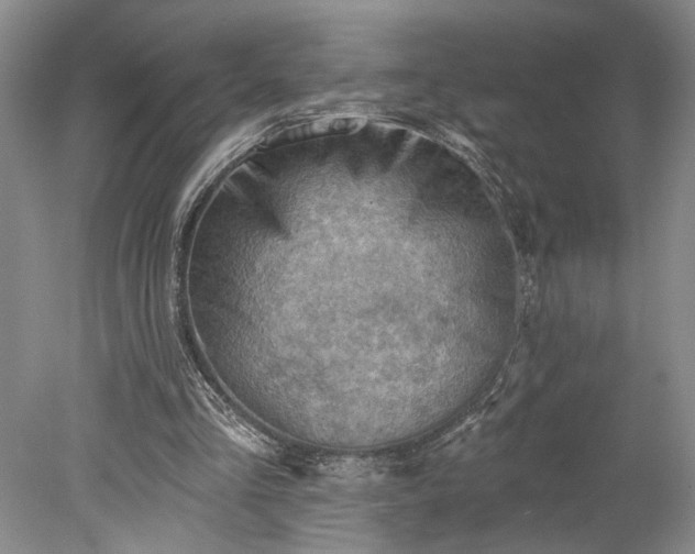 X0000078230293200611101016