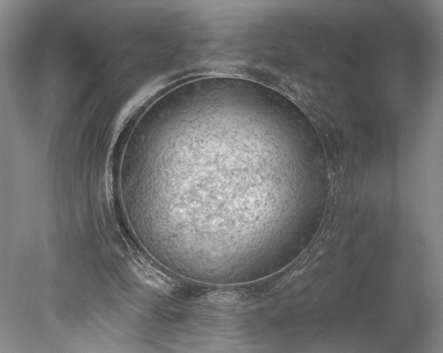 X0000078230294200611101016