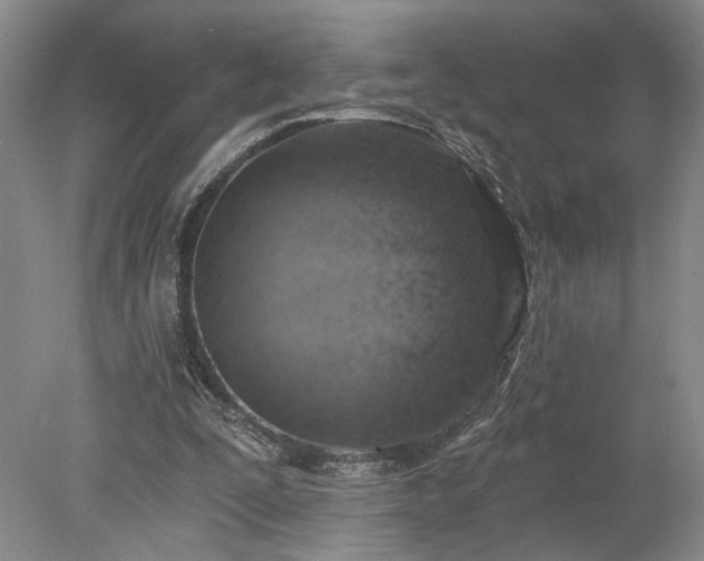 X0000078230295200611101016